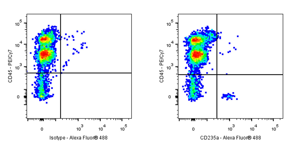 Alexa Fluor® 488 Mouse Anti-Human CD235a Antibody (NNA7)