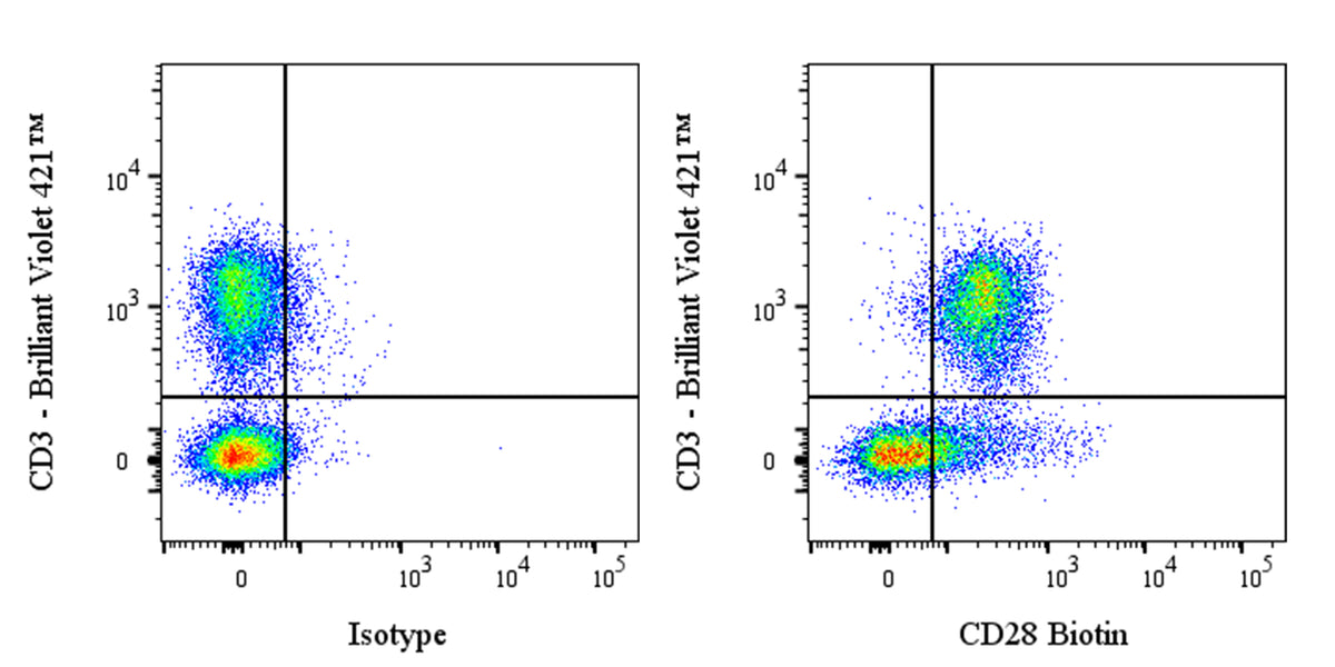 Biotin Syrian hamster Anti-Mouse CD28 Antibody (37.51)