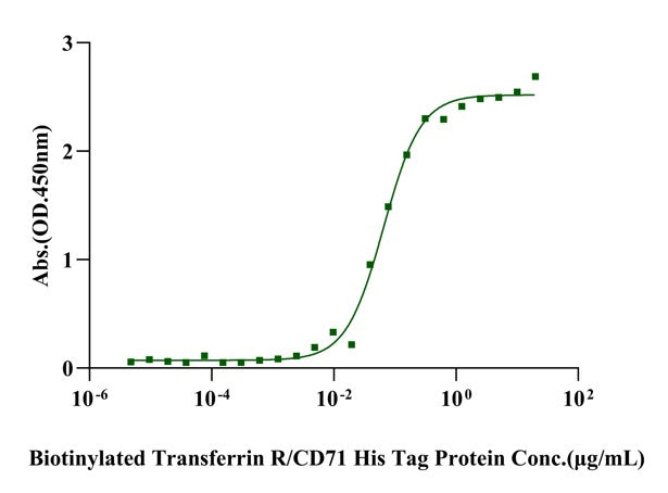 Transferrin His Tag Protein, Mouse