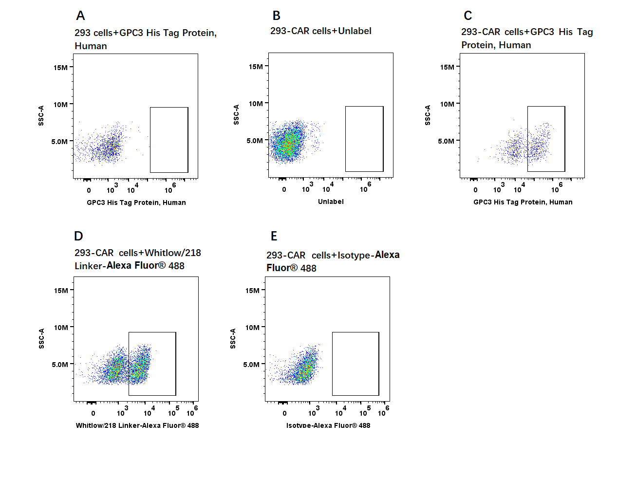 GPC3 His Tag Protein, Human