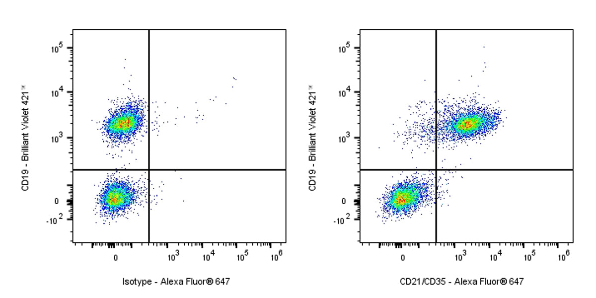 Rat Anti-Mouse CD21/CD35 antibody (7E9)