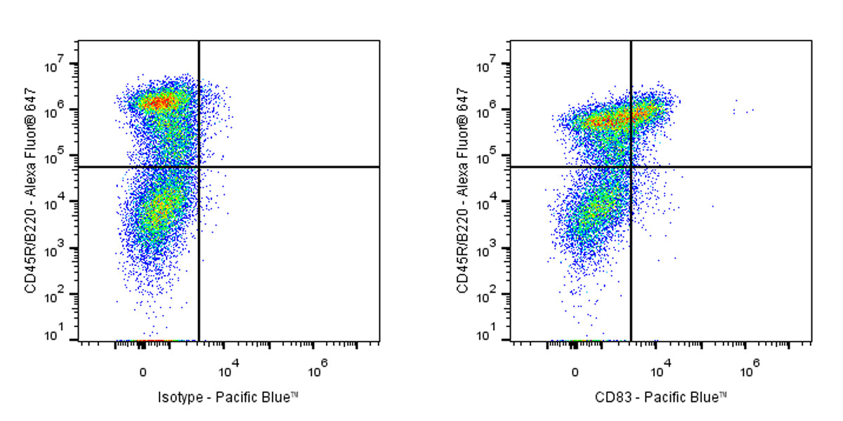 Pacific Blue Rat Anti-Mouse CD83 Antibody (S-R522)