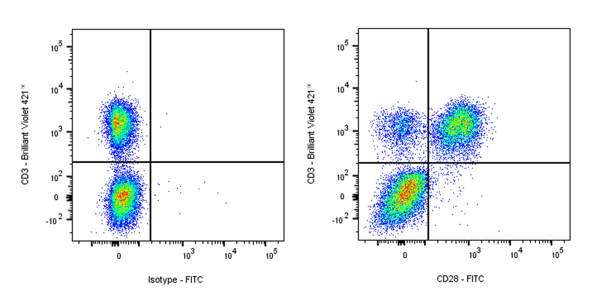FITC Mouse Anti-Human CD28 Antibody (9.3)
