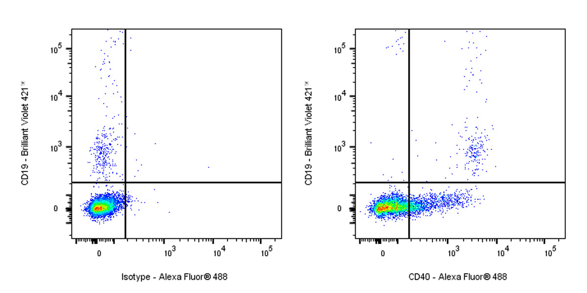 Mouse Anti-Human CD40 Antibody (G28.5)