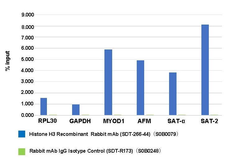 Histone H3 Recombinant Rabbit mAb (SDT-266-44)