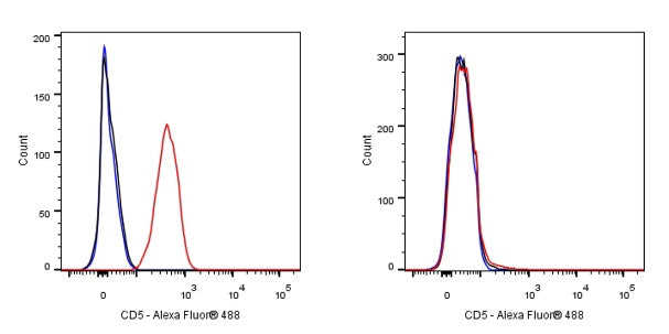 CD5 Rabbit Polyclonal Antibody