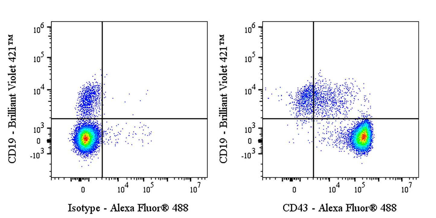 Mouse Anti-Human CD43 Antibody (S-4602)