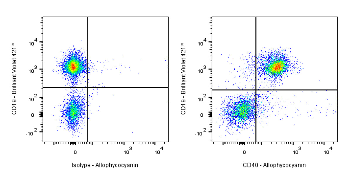APC Rat Anti-Mouse CD40 Antibody (FGK4.5)