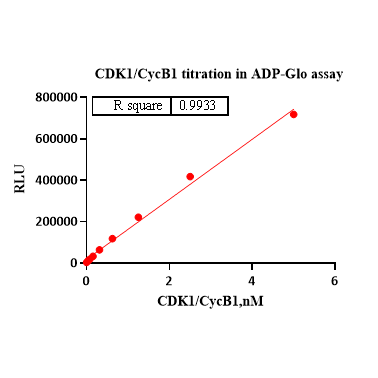 Product image media