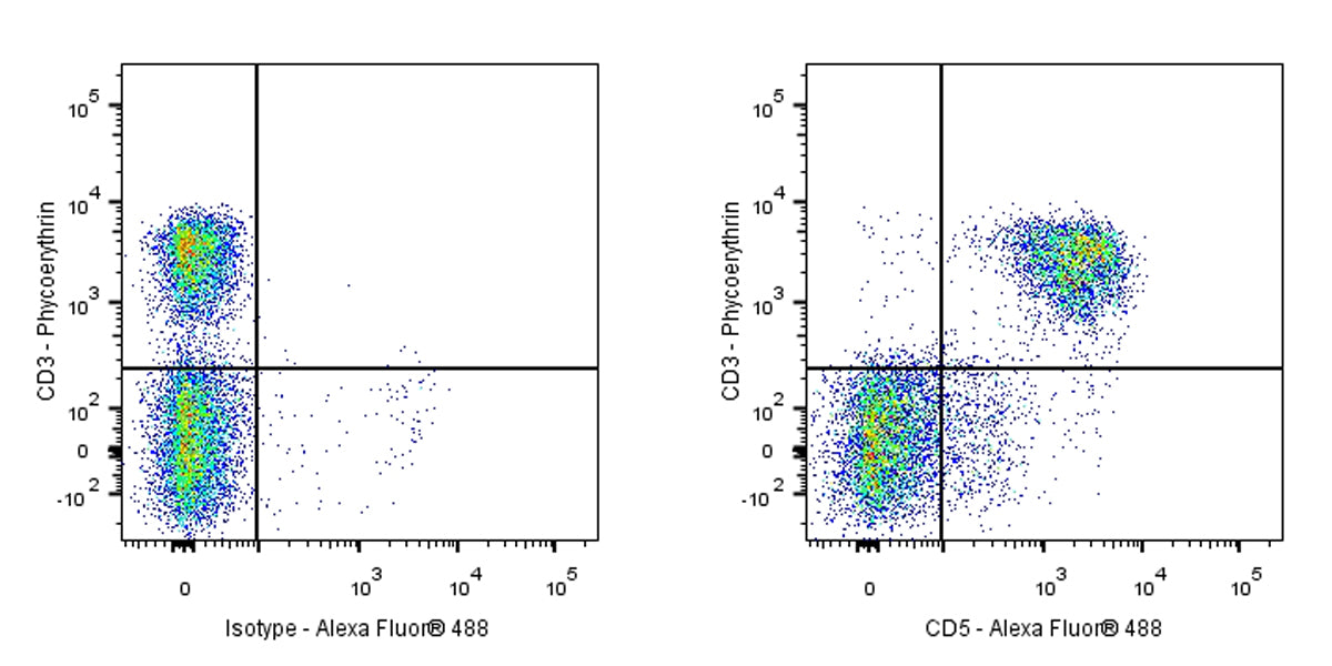 Rat Anti-Mouse CD5 Antibody (53-7.3)