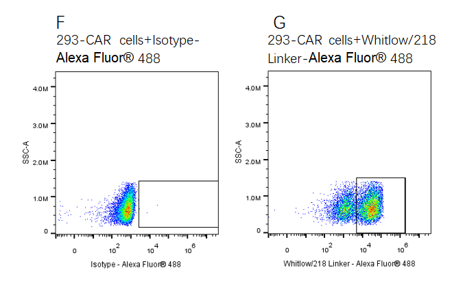 Alexa Fluor 647-Labeled GUCY2C His Tag Protein, Human
