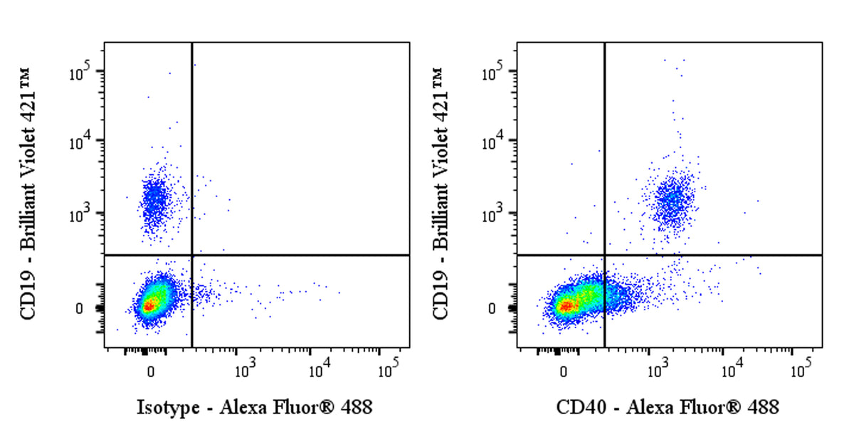 Mouse Anti-Human CD40 Antibody (5C3)