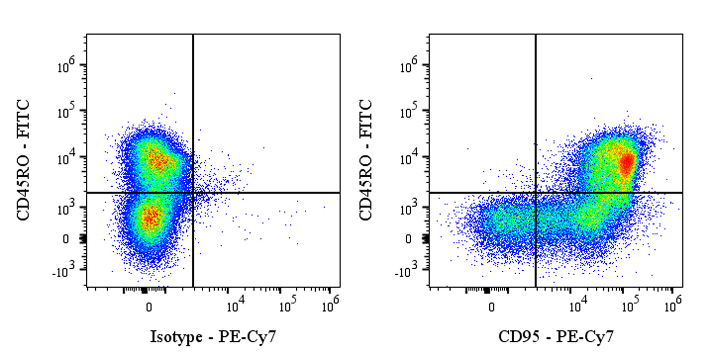 PE-Cy7 Mouse Anti-Human CD95 Antibody (DX2)