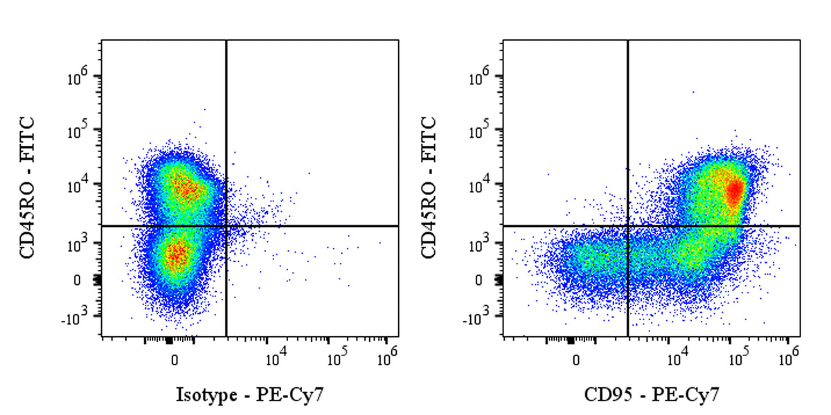 PE-Cy7 Mouse Anti-Human CD95 Antibody (DX2)