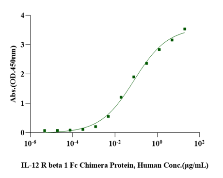 IL-12 Protein,Mouse