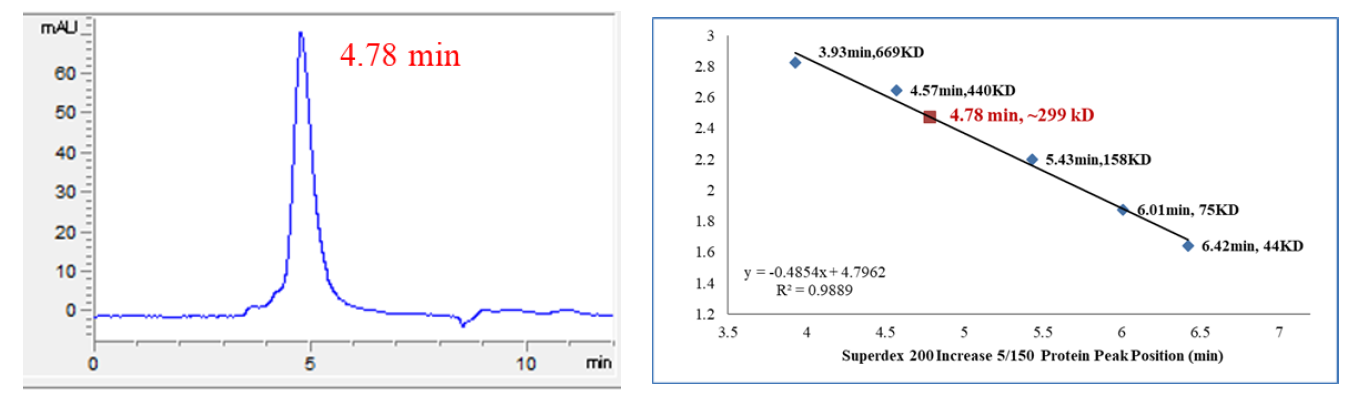 CDK1/Cyclin E2 Protein