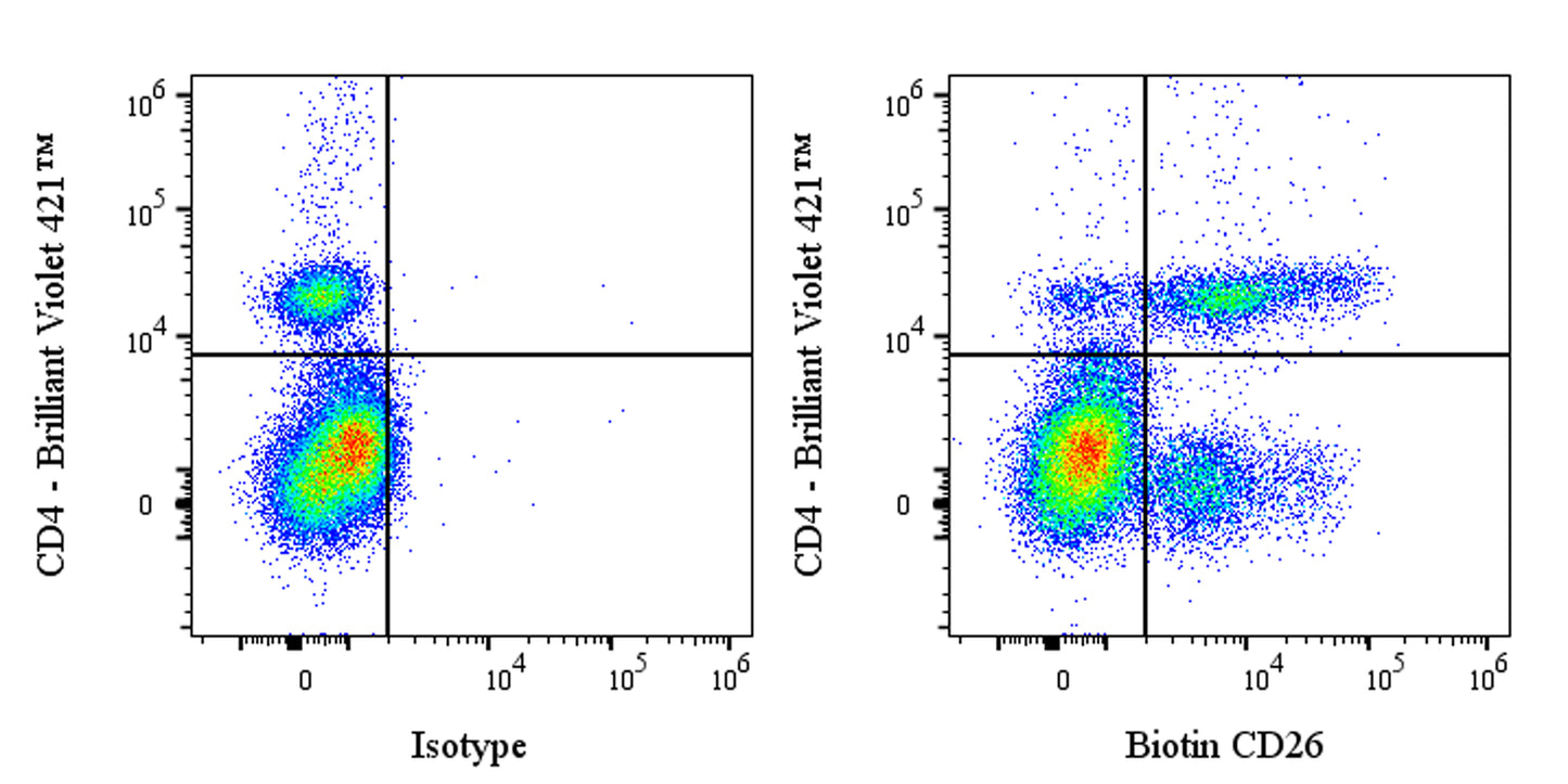 Biotin Mouse Anti-Human CD26 Antibody (M-A261)