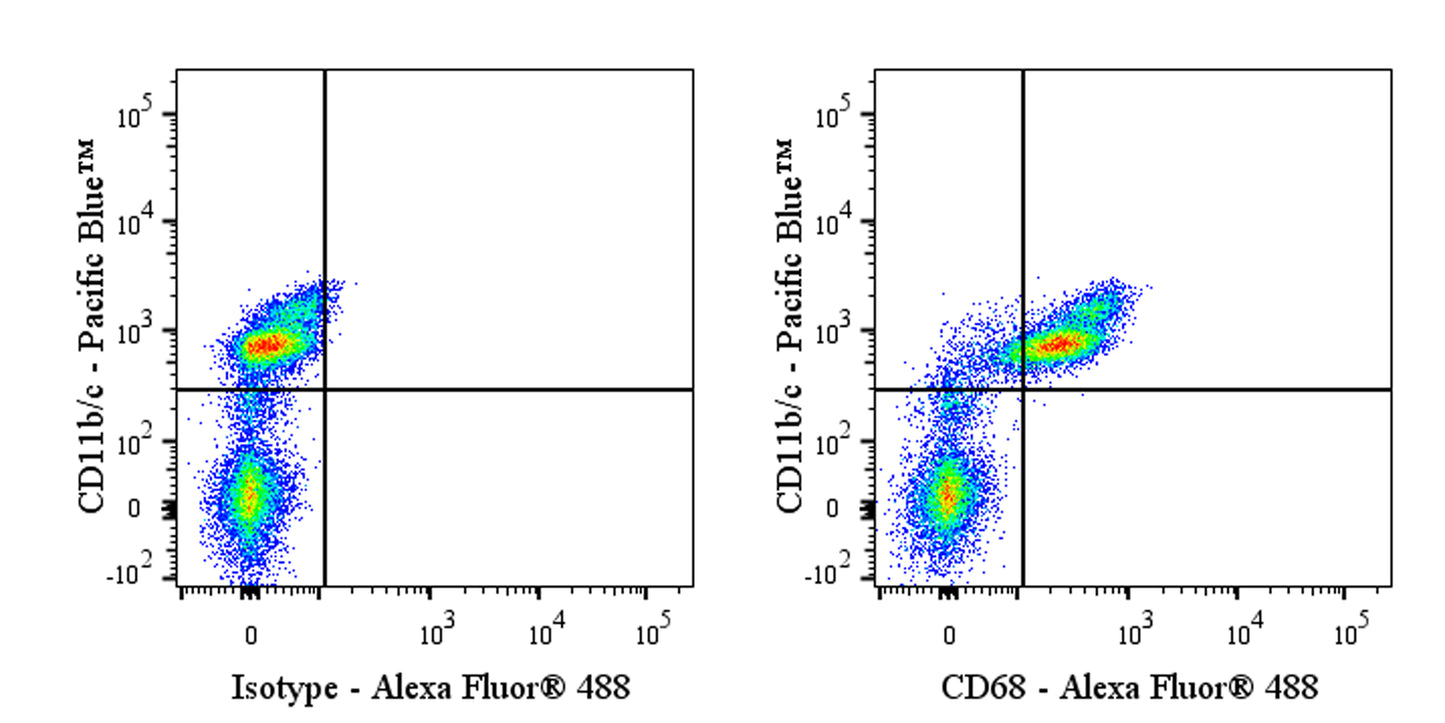 Alexa Fluor® 488 Mouse Anti-Rat CD68 Antibody (S-R674)