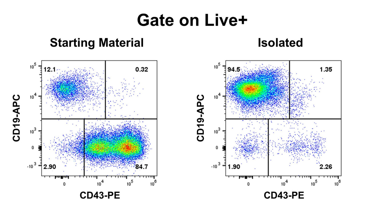 Human Pan B Cell Isolation Kit (Column-Free)
