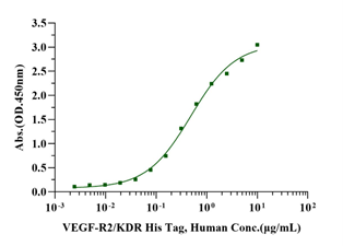 VEGF-R2/KDR His Tag Protein, Human