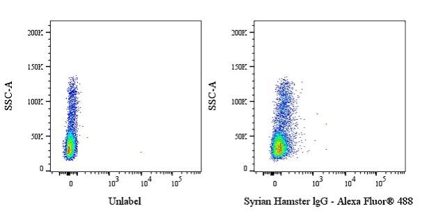 Syrian Hamster IgG Isotype Control (S-4443)