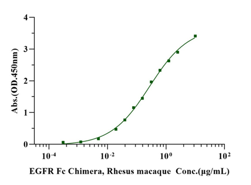 EGFR Fc Chimera Protein, Rhesus macaque