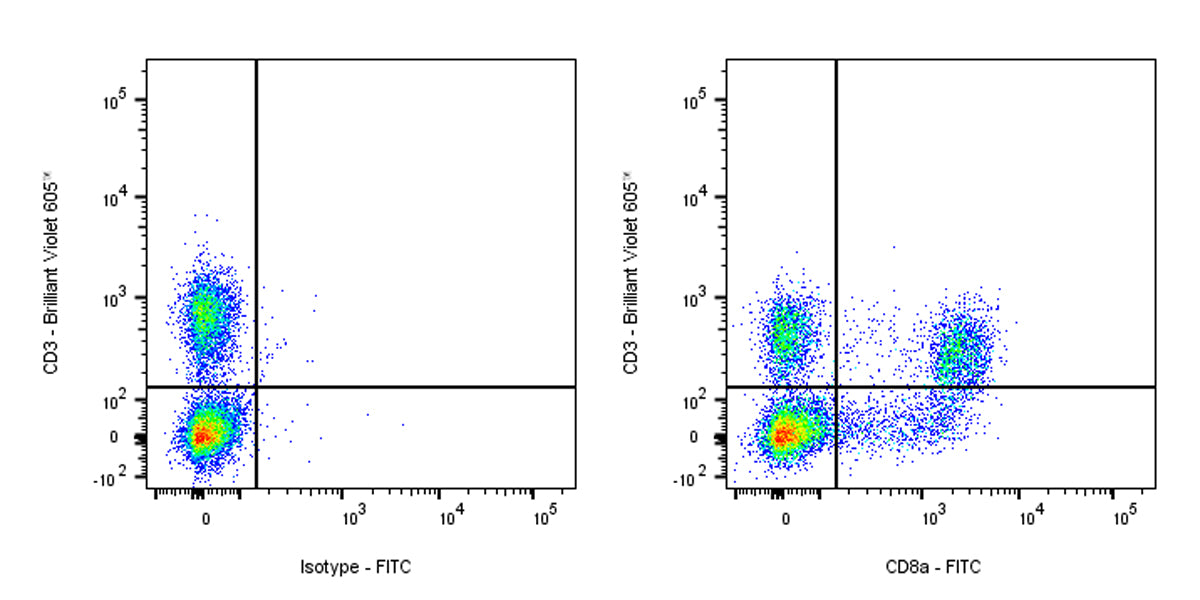 FITC Mouse Anti-Rat CD8a Antibody (OX-8)