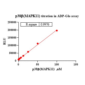 Product image media