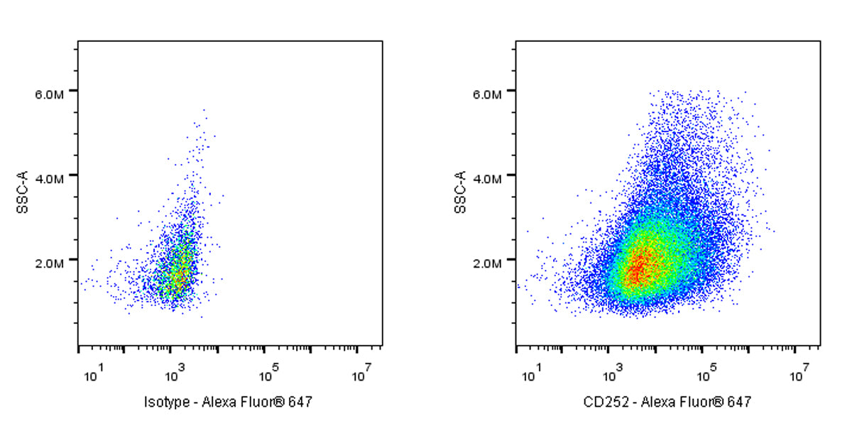 Alexa Fluor® 647 Rat Anti-Mouse CD252 Antibody (S-R735)
