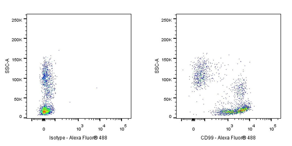 Mouse Anti-Human CD99 Antibody (S-R646)