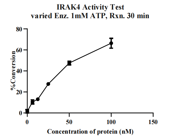 IRAK4 Protein, Human