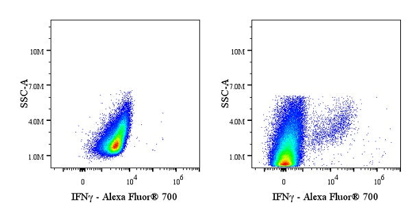 Alexa Fluor® 700 Rat Anti-Mouse IFNγ Antibody (XMG1.2)
