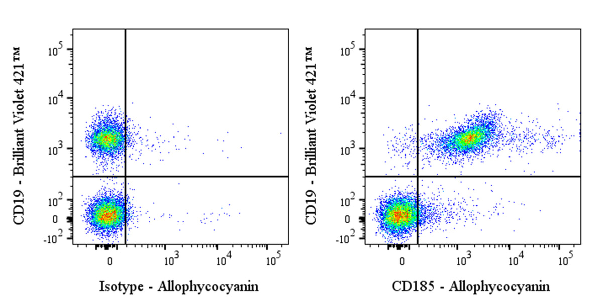 APC Rat Anti-Mouse CD185 Antibody (S-R600)