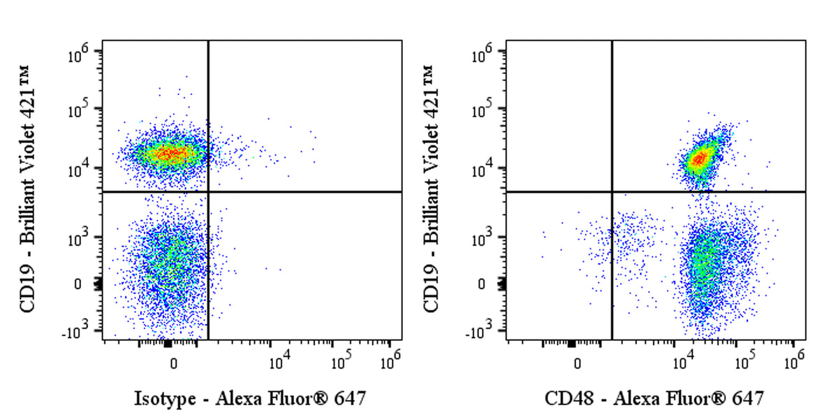 Alexa Fluor® 647 Armenian hamster Anti-Mouse CD48 Antibody (HM48-1)