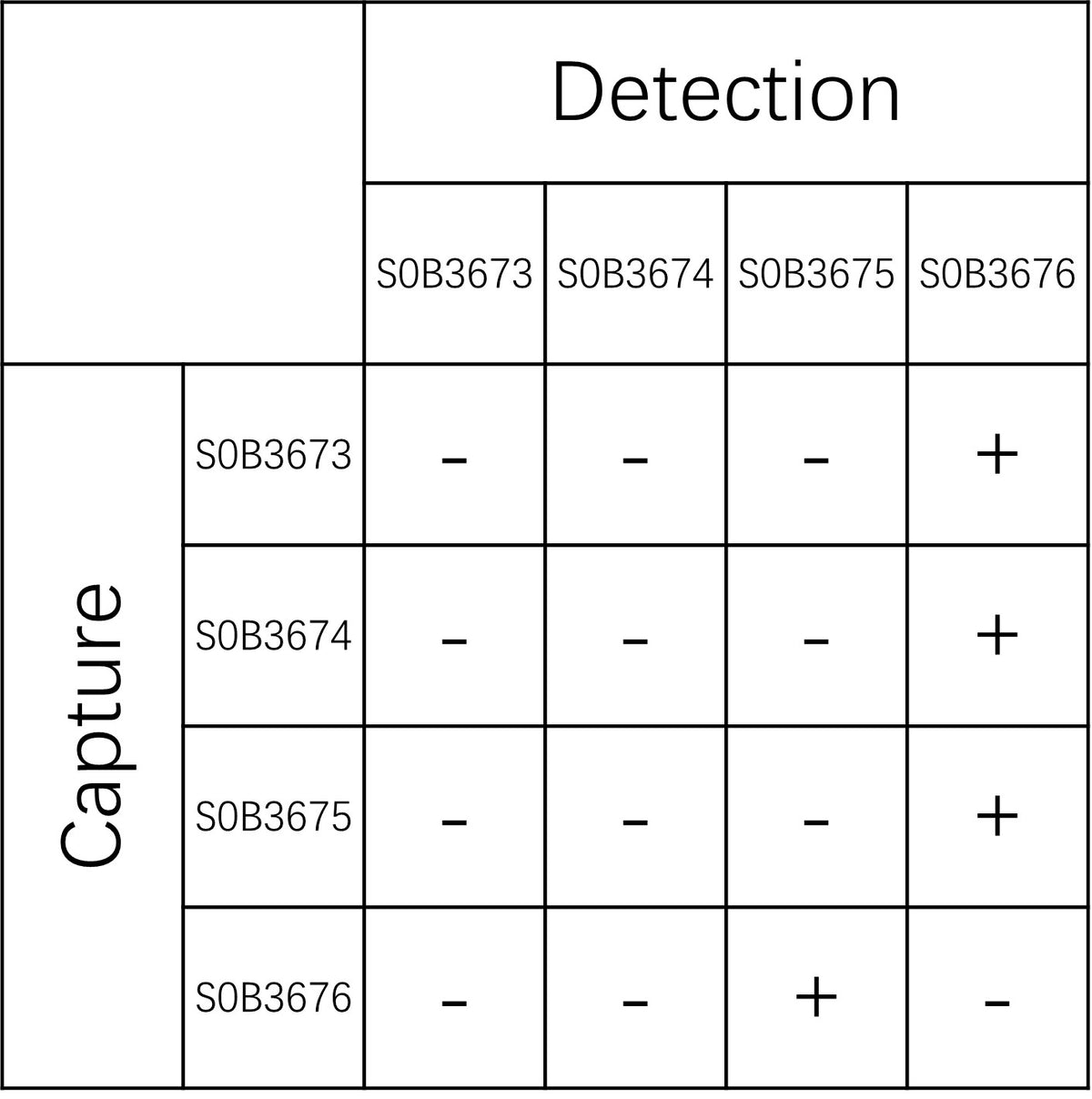 CCL17 Recombinant Rabbit mAb (SDT-1847-112)