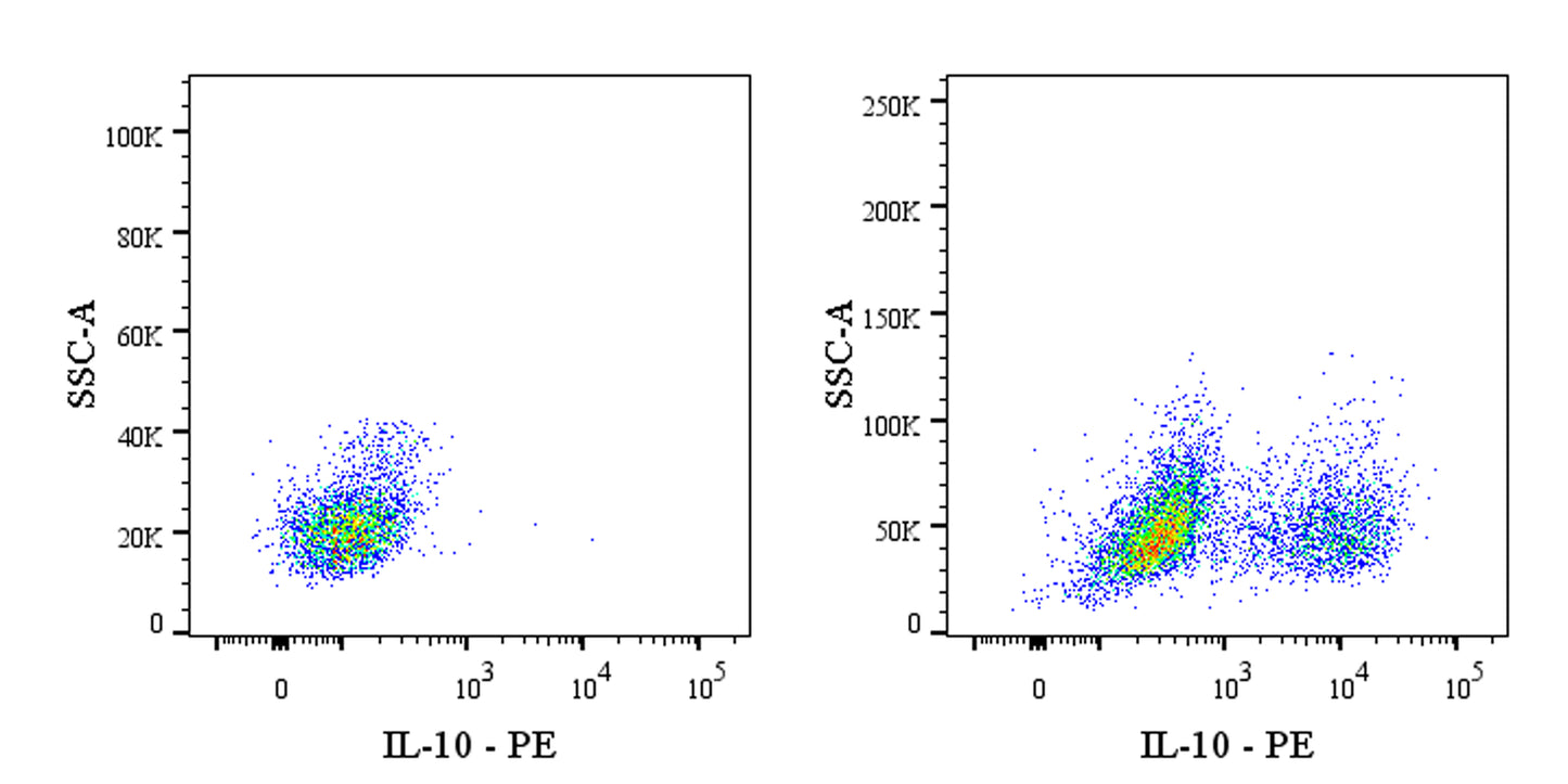 PE Rat Anti-Human IL-10 Antibody (S-3081)