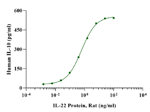 IL-22 Protein, Rat