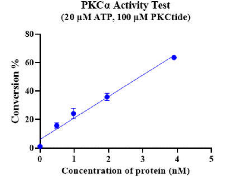 PKCα GST Tag Protein, Human
