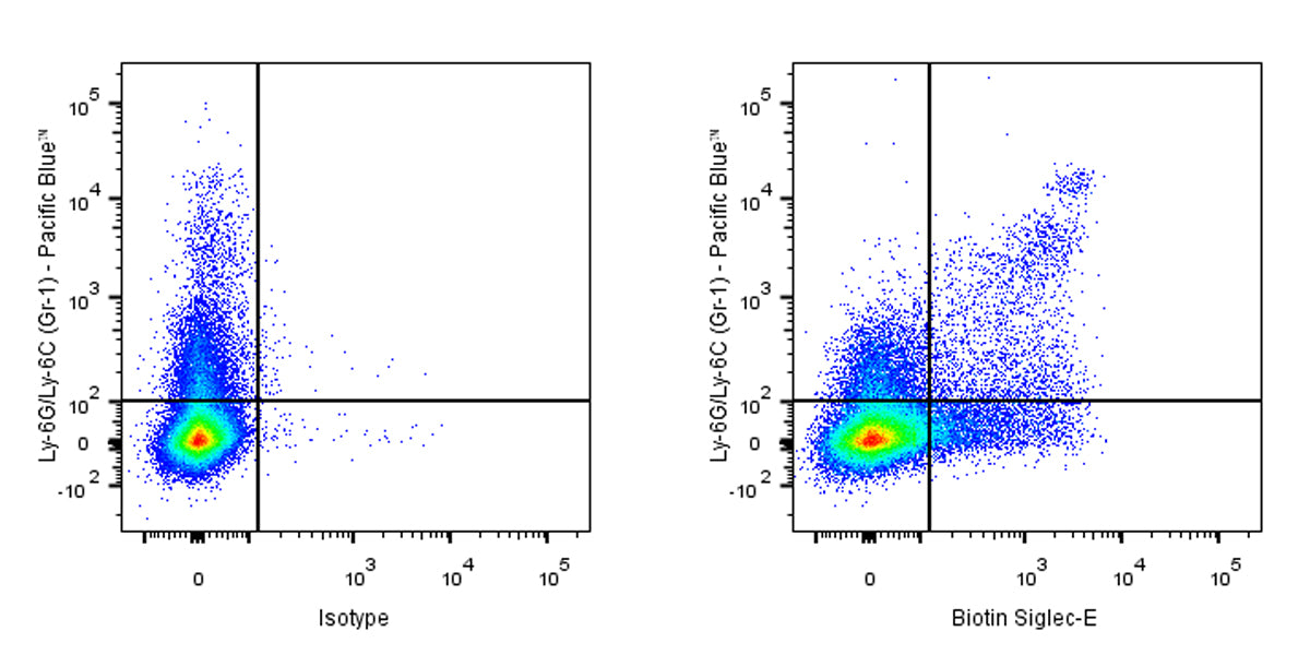 Biotin Rat Anti-Mouse Siglec-E Antibody (S-3881)