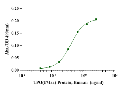 TPO(174aa) Protein, Human