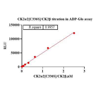 Product image media