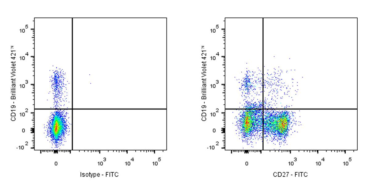 FITC Armenian hamster Anti-Mouse/Rat/Human CD27 Antibody (S-R620)