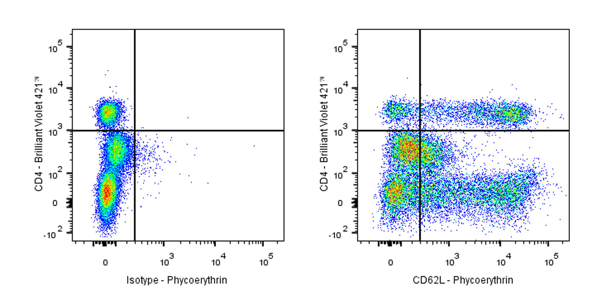 PE Mouse Anti-Human CD62L Antibody (S-937-77)