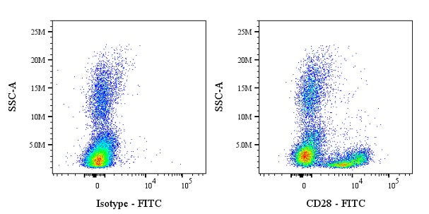 FITC Mouse Anti-Human/ Monkey CD28 Antibody (CD28.2)