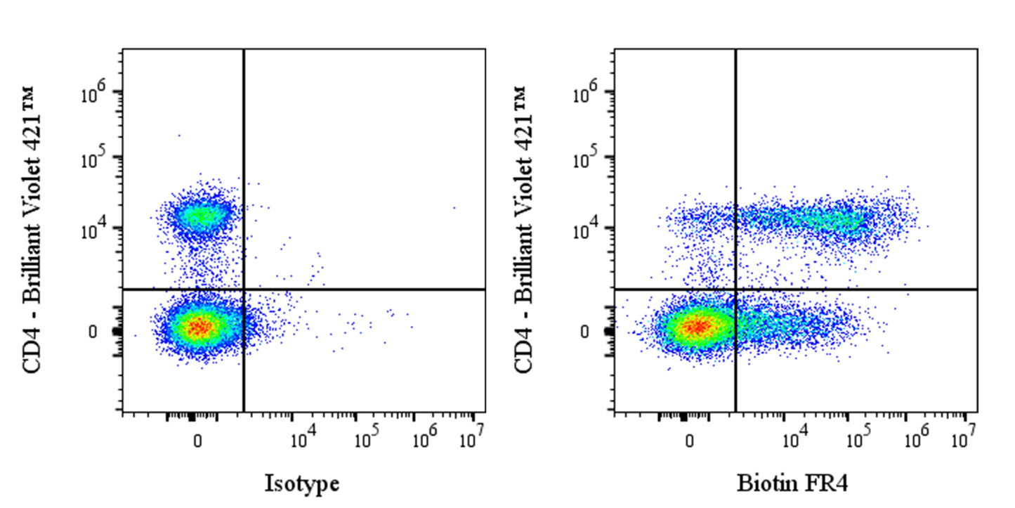 Biotin Rat Anti-Mouse FR4 Antibody (S-R705)