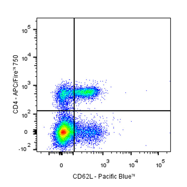 Pacific Blue Rat Anti-Mouse CD62L Antibody (MEL-14)