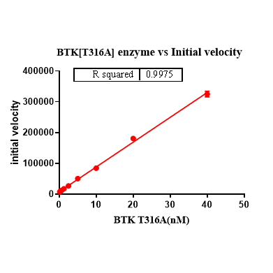 Product image media