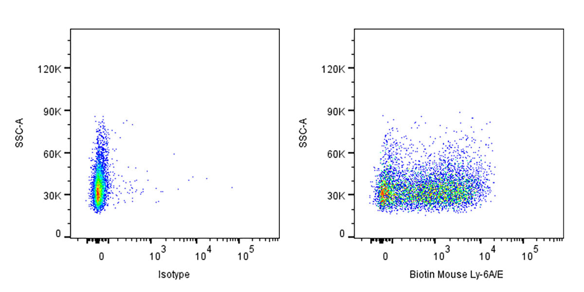 Biotin Rat Anti-Mouse Ly-6A/E Antibody (D7)