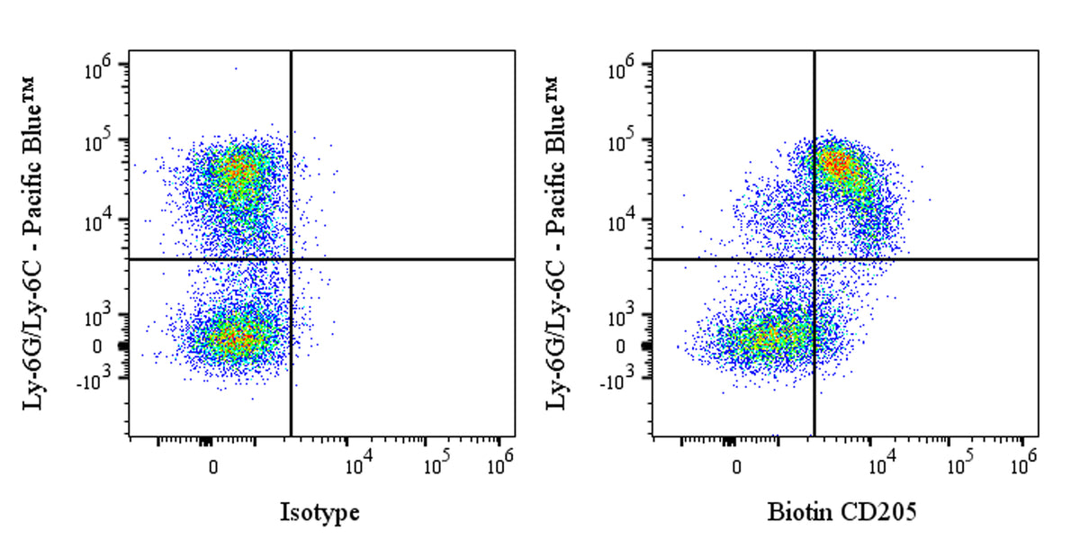 Biotin Rat Anti-Mouse CD205 Antibody (NLDC-145)