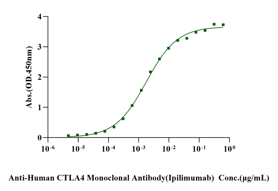 Biotinylated CTLA4 His&Avi Tag Protein, Human